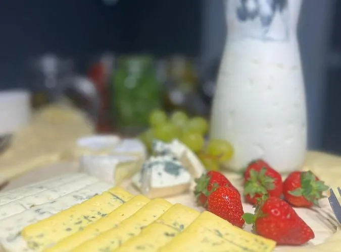 Gasthuis Ventana 2 Free Parking Sniadanie W Cenie 503 18 18 11