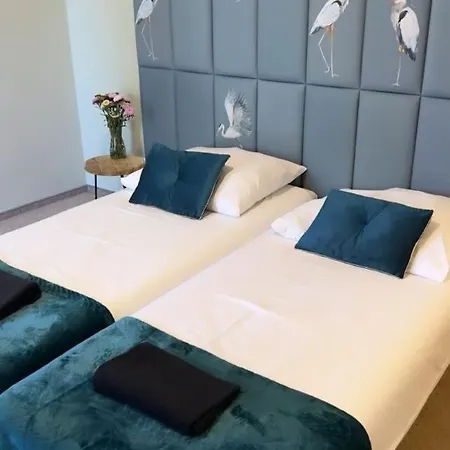 Ventana 2 Free Parking Sniadanie W Cenie 503 18 18 11 Pensjonat