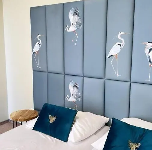 Ventana 2 Free Parking Sniadanie W Cenie 503 18 18 11 Guest house Poznan